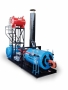 WENTA THERMAL OIL BOILERS